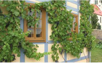 In Der Alten Weinstube Freital Esterno foto