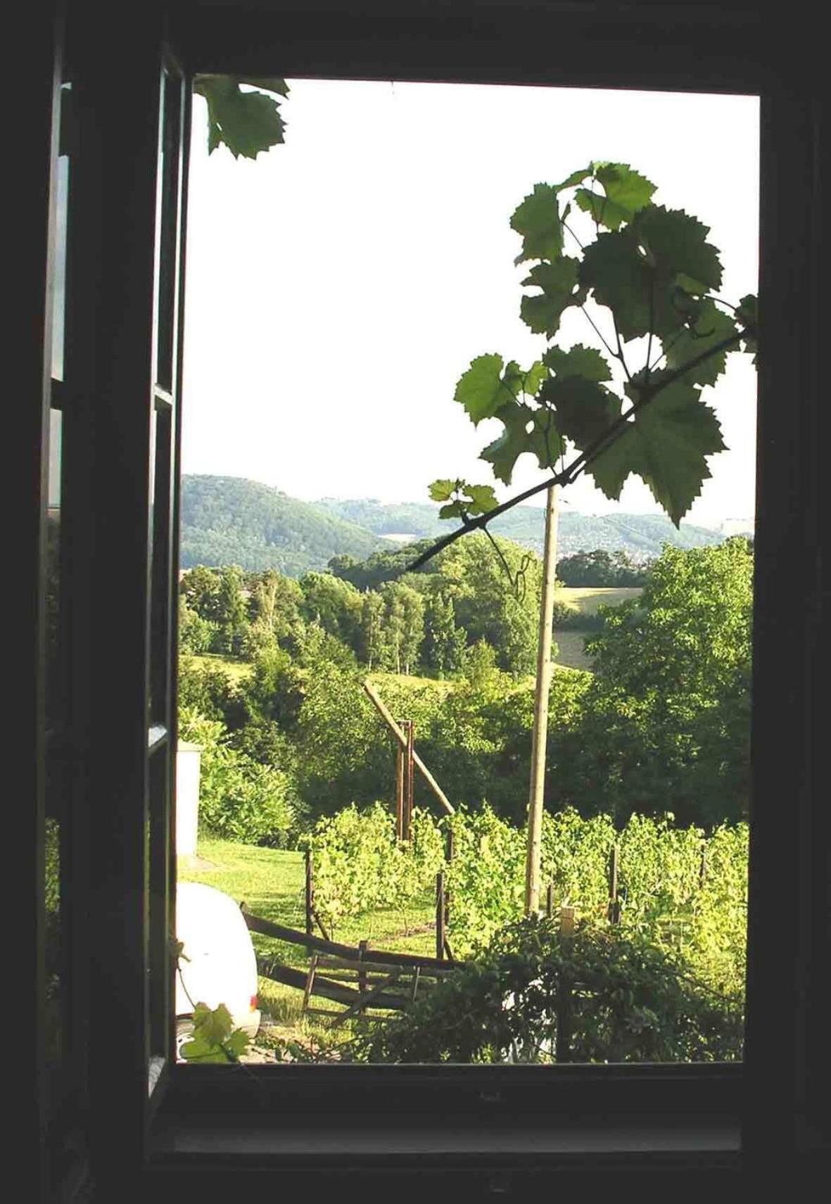 In Der Alten Weinstube Freital Esterno foto